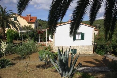 Seaside holiday house Postira Brac - 13001 - image 6