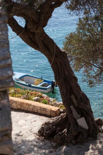 Secluded fisherman's cottage Cove Tvrdni Dolac Hvar - 13018 - main image