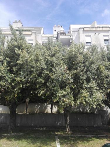 Apartments with WiFi Split - 13120 - image 12