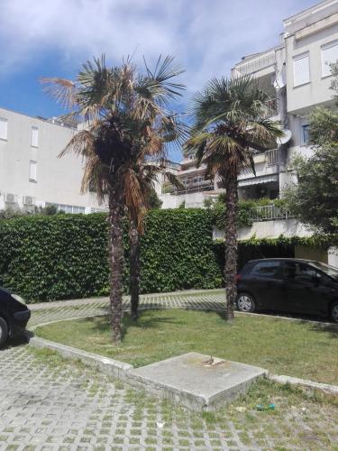 Apartments with WiFi Split - 13120 - image 6