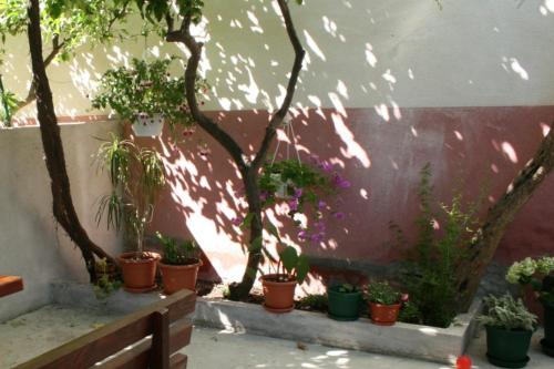 Apartments by the sea Podgora Makarska - 13216 - image 7