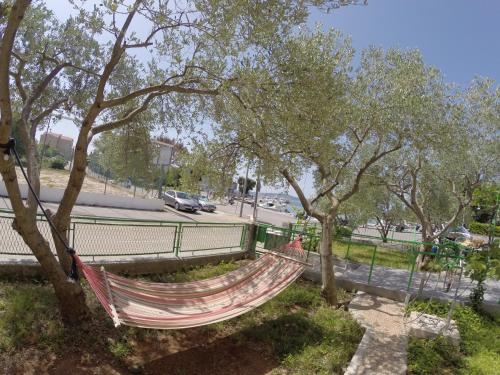 Apartments by the sea Zadar - 13272 - image 4