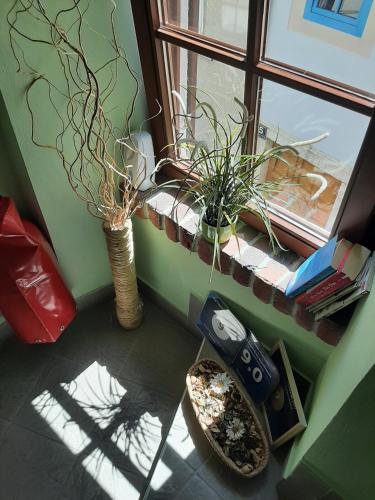 Apartments by the sea Cres - 13312 - image 3