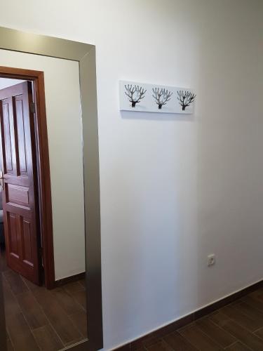 Apartments by the sea Kastel Kambelovac Kastela - 13349 - main image