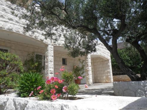Apartments and rooms with parking space Hvar - 13296 - image 5