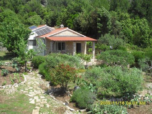 Secluded fisherman's cottage Cove Smokvina Hvar - 13608 - image 5