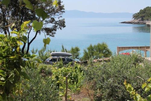 Secluded fisherman's cottage Cove Smokvina Hvar - 13608 - image 7