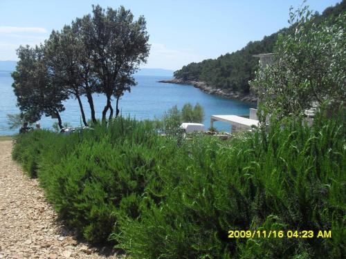 Secluded fisherman's cottage Cove Smokvina Hvar - 13608 - image 9