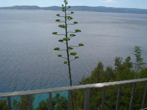 Apartments by the sea Pisak, Omis - 13716