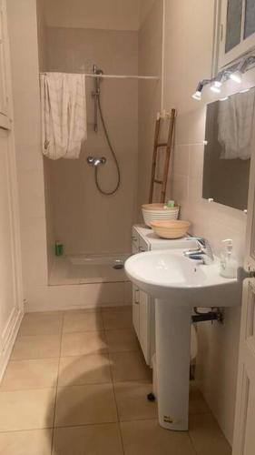 Amazing 2-bedroom apartment in Nice near the beach, Nice (fotografie 8)
