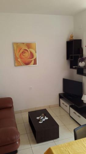 Family friendly seaside apartments Preko Ugljan - 14692 - image 10