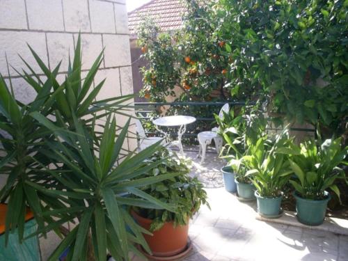 Apartments with WiFi Dubrovnik - 14722 - image 7