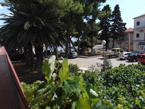 Apartments by the sea Sucuraj Hvar - 14736 - image 13