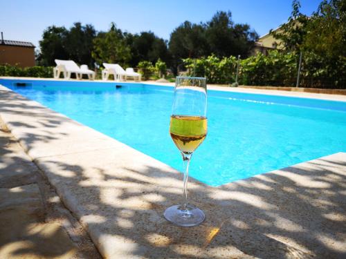Family friendly apartments with a swimming pool Zadar - 14933 - image 4