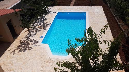 Family friendly apartments with a swimming pool Zadar - 14933 - image 5