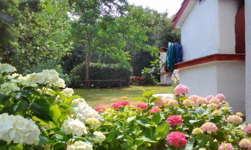 Apartments with a parking space Njivice Krk - 14932 - image 5