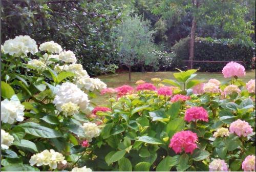 Apartments with a parking space Njivice Krk - 14932 - image 14