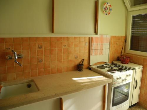 Apartments with WiFi Split - 15028 - image 8