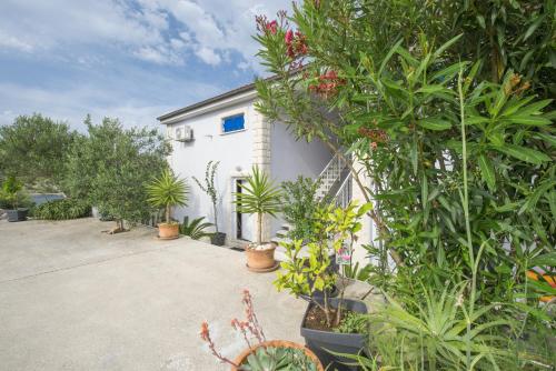 Apartment Pribinja 15083b - image 12