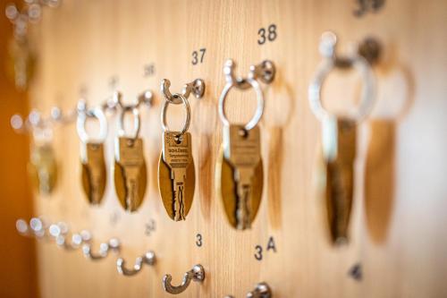 Pension Fünfhaus - image 2