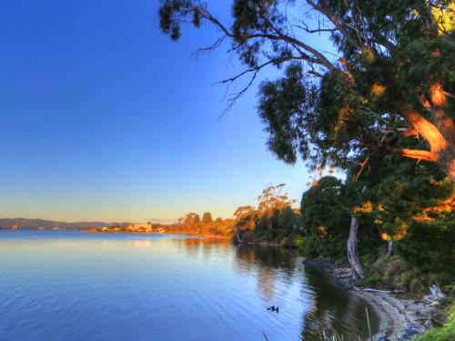 Beauty Point Tourist Park Cabins