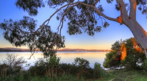 Beauty Point Tourist Park Cabins