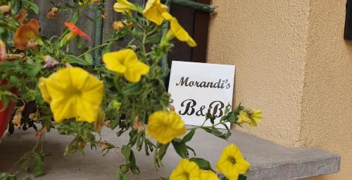 Morandi's, Bologna