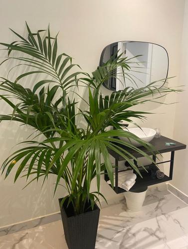 Double Room image 2