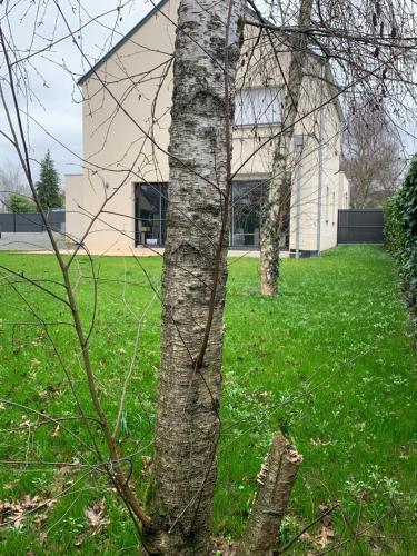 Jardín, maison de charme avec jardin,pacé,proche de Rennes (maison de charme avec jardin,pace,proche de Rennes) in Pace