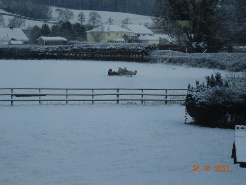 Red Kite Barn