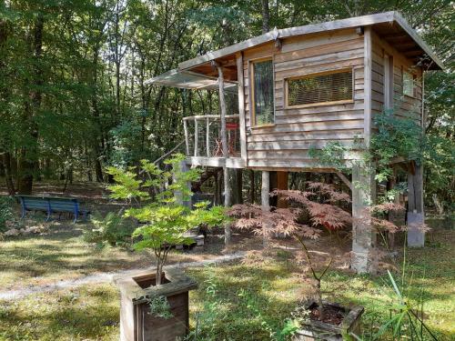 La cabane de l'oiseau