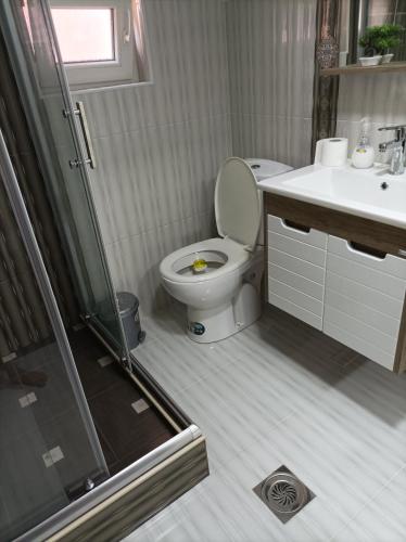 Ceca Apartment, Gevgelija (fotografie 11)