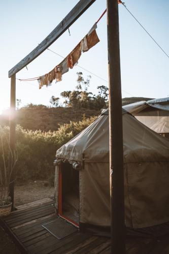 Southern Yurts