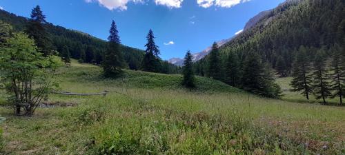 Chalet au ayes - Villar-Saint-Pancrace