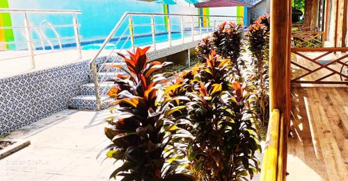 white coral beach resort – Havelock Island, OK