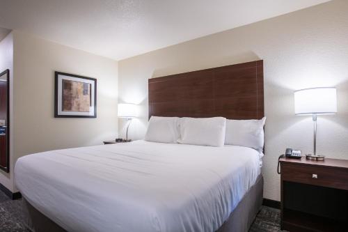 1 king bed
