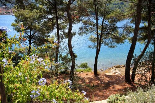 Apartments by the sea Vela Luka Korcula - 159 - image 11