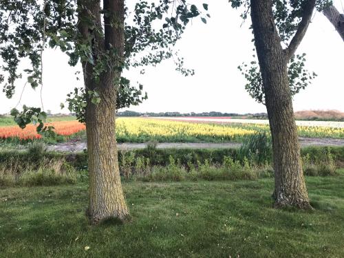 Landgoed Swaensborgh in Schagen