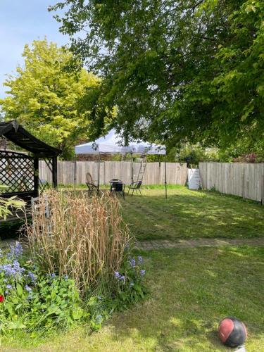 Hollybush Guest House - image 13