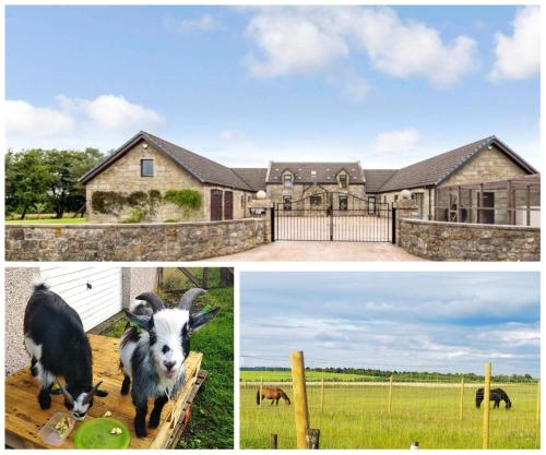 Cottage with Panoramic Views - Kirk of Shotts