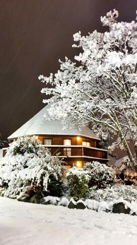 阿尔卑斯汽车旅馆