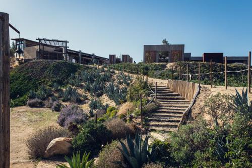 Estancias Sierravita – Valle de Guadalupe, VA