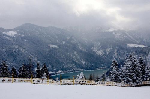 Bed & Breakfast Der Tiroler - image 4