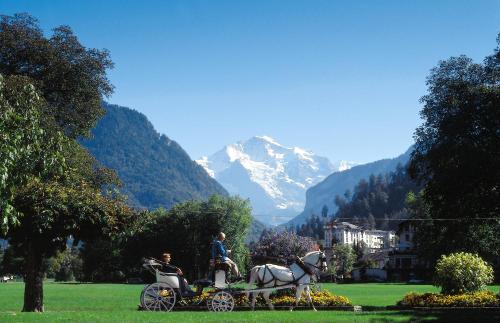 Hotel Weisses Kreuz - image 4