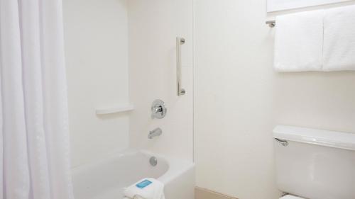 Holiday Inn Express Hilton Head Island an IHG Hotel - image 31