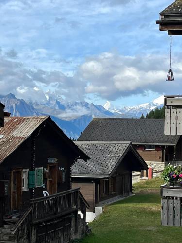 A környék, Chalet Diana - Spacious flat - Village core - South facing - Ski-in/Ski-out in Bettmeralp