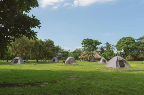 Camping Tequendama Playa Arrecifes Parque Tayrona Turbaco