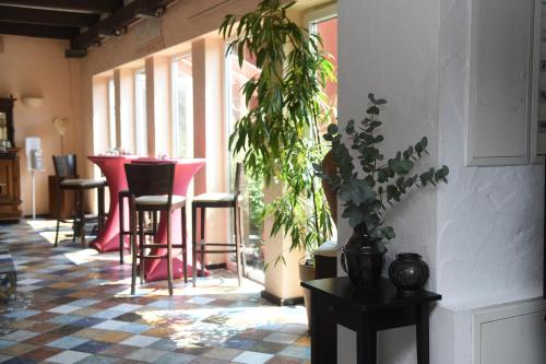 Pub/Lounge, Hotel Casa Verde in Trier