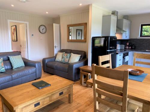 Birch Lodge 21 with Hot Tub Newton Stewart - image 6