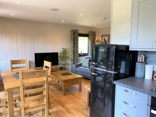 Birch Lodge 21 with Hot Tub Newton Stewart - image 9